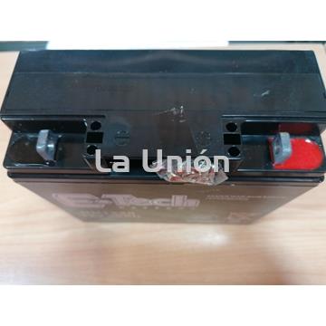 Batería tractorcortacesped E. Tech - Imagen 2