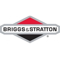 BRIGGS & STRATTION