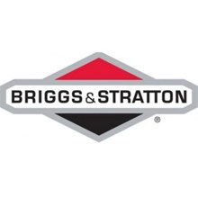 BRIGGS & STRATTION