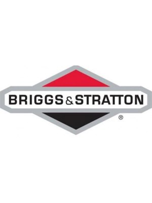 BRIGGS & STRATTION