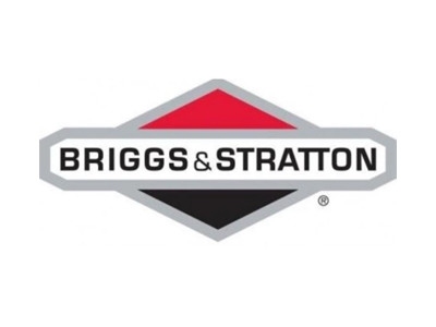 BRIGGS & STRATTION