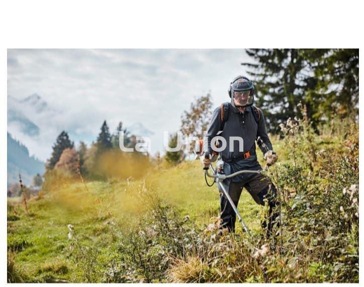 DESBROZADORA GASOLINA STIHL FS 131 - Imagen 2