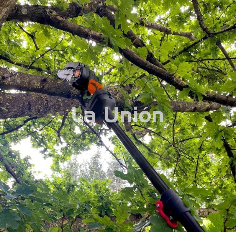 KIT TIJERA + SIERRA + PROLONGA TELESCOPICA + 2 BATERIAS + CARGADOR + HERRAMIENTAS MANTENIMIENTO - Imagen 4