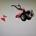 Motocultor hardy DIESEL SIN ACCESORIOS - Imagen 1