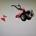 Motocultor hardy - Imagen 1