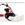 Motocultor Roteco CHAMPION COMBI - Imagen 1
