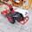 Motocultor Roteco Hardy con fresa - Imagen 2
