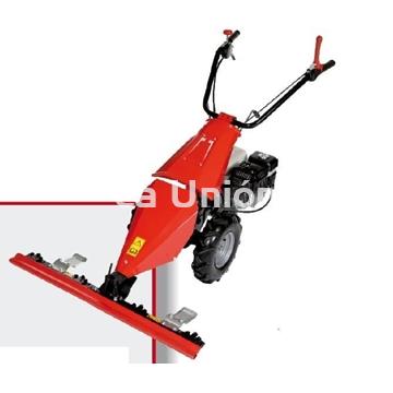 Motosegadora Roteco IBIS Monomarcha - Imagen 1