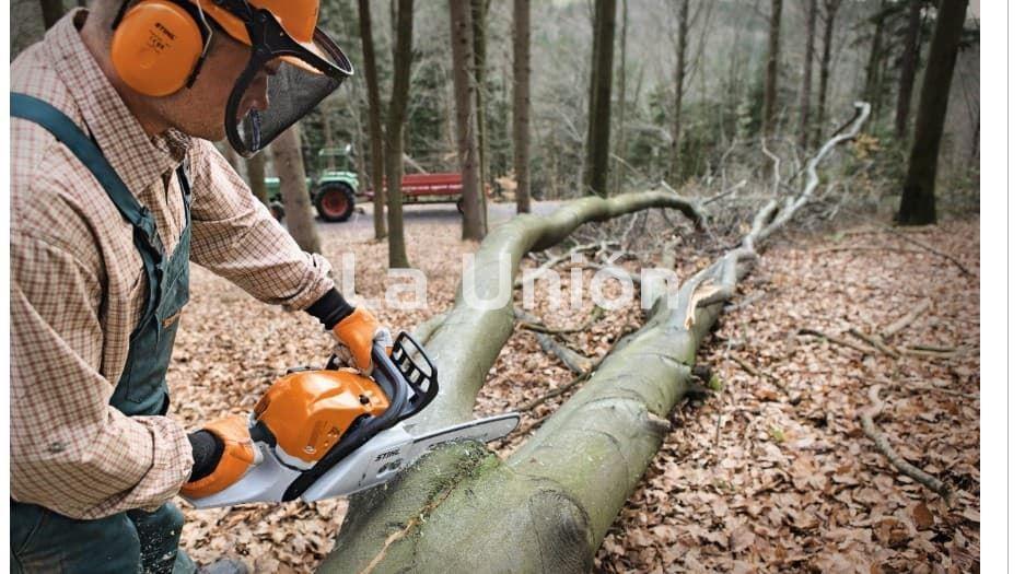 MOTOSIERRA GASOLINA STIHL MS 391 - Imagen 2