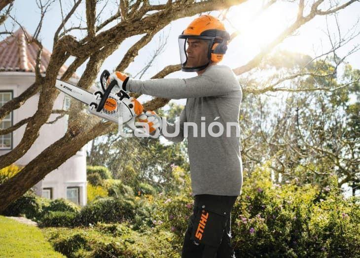 MOTOSIERRA PODA LIGERA MS 151 C-E STIHL - Imagen 2