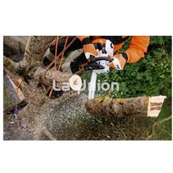 MOTOSIERRA  STIHL MS 201 TC-M PODA PROF. - Imagen 2