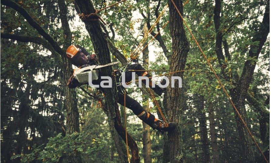 MSA 190 T - Sistema AP SIN BATERIA SIN CARGADOR STIHL - Imagen 3